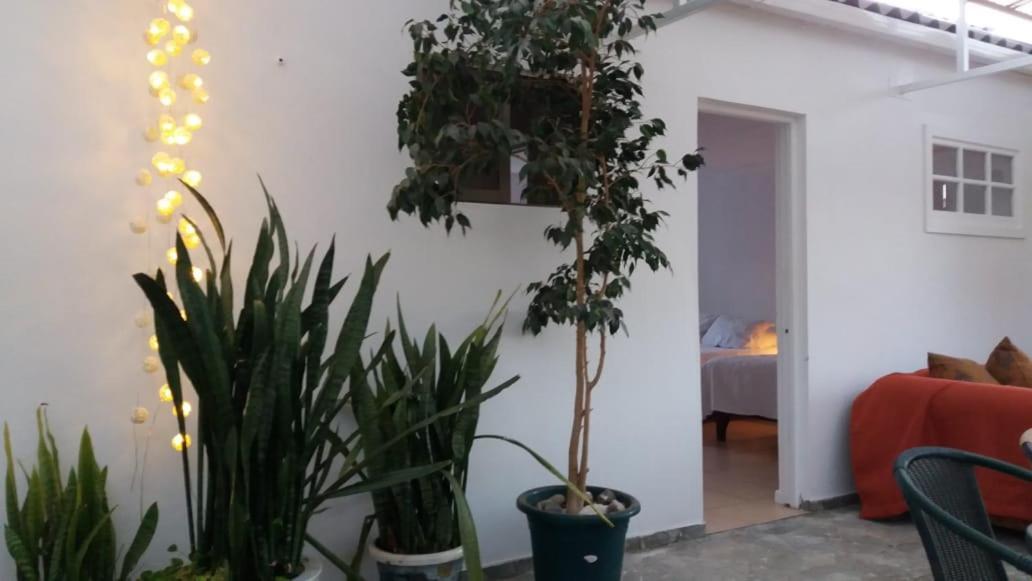 Hostal Casa 95 Vicuña Eksteriør billede
